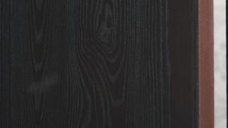 Ebony boss orders her black TS secretary Leilani Li to fuck her dark pussy
